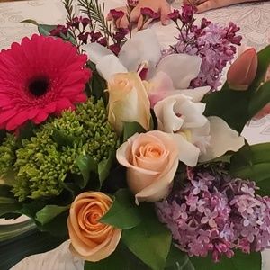 Meet your Posher, Diana